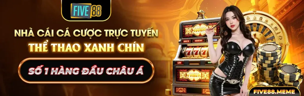 Hình ảnh đại diện Điều khoản dịch vụ của bet678 casino